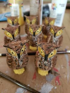 Cuckoo Owls
